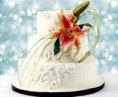 /album/fotogaleria-bodas/pastel-mordida-02-jpg/